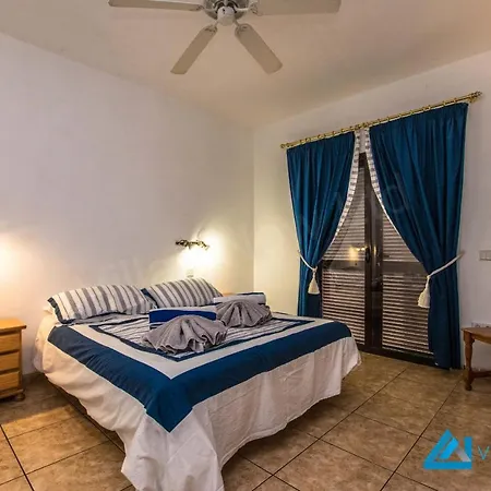 Montana - Lh113 By Now Ltd * Πλάγια Μπλάνκα